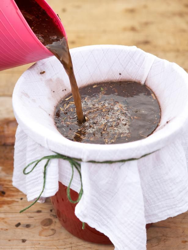 10 Ways to be More Sustainable in Your Garden + Yard